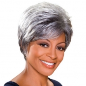 ALICIA FOXY SILVER, Monofilament Synthetic Wig, GERALDINE