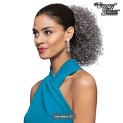 Foxy Silver Synthetic Drawstring Ponytail - 14694 DS21