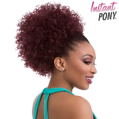 Sensationnel Instant Pony Drawstring Ponytail - NATURAL AFRO 10