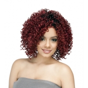 R&B Collection 21 Tress 100% HUMAN PREMIUM BLENDED Human hair wig H-ECHO