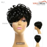 Soul Tress Synthetic Wig -ALI