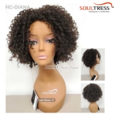 Soul Tress Synthetic Honeycomb Cap Wig - HC-DIANA