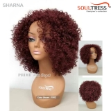 Soul Tress Synthetic Wig - SHARNA