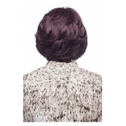 Vivica Fox, Synthetic Lace Front Wig, GARDEN